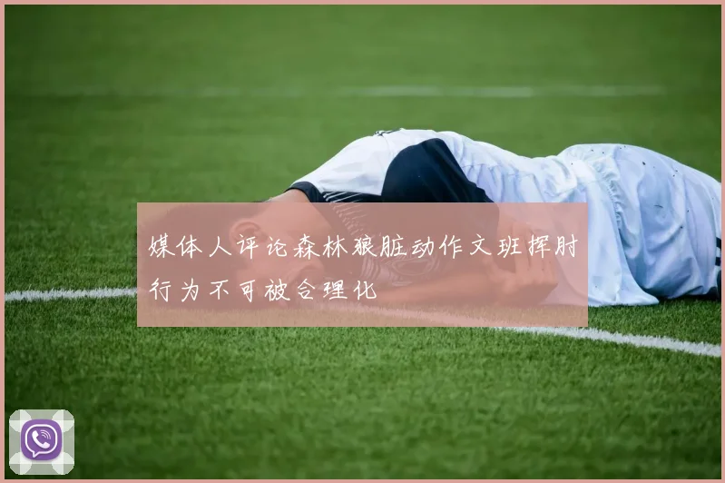 媒体人评论森林狼脏动作文班挥肘行为不可被合理化